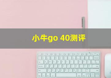 小牛go 40测评